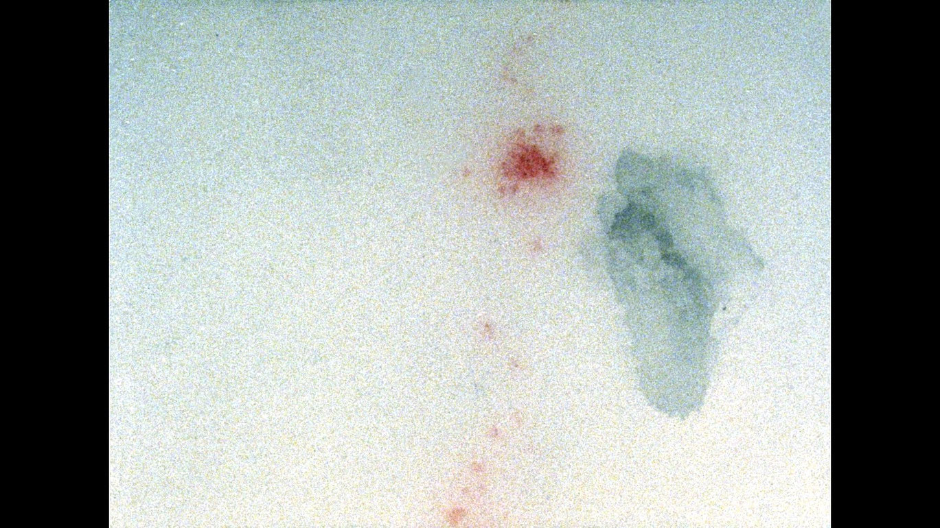 Blut in der Spur_Minck_Summereder_courtesy sixpackfilm_01