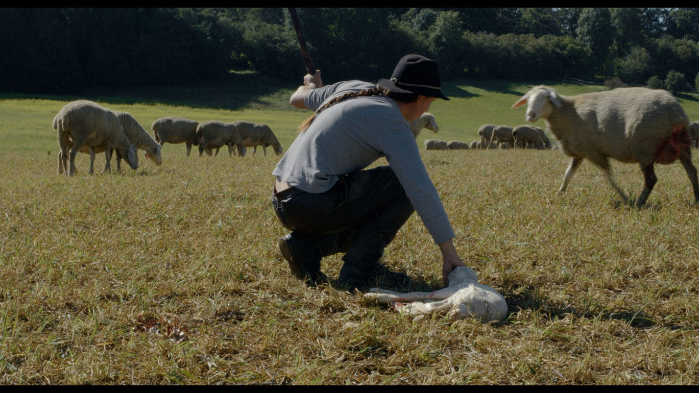 LeonhardPill_MussDasPferdAuchArbeiten_Courtesysixpackfilm_02