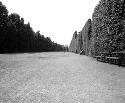 Weibel _ Intervalle03 _ Courtesy sixpackfilm